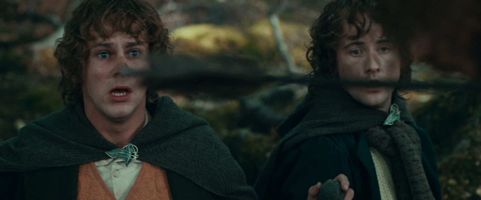 The Lord of the Rings: The Fellowship of the Ring (2001) screencap 22446