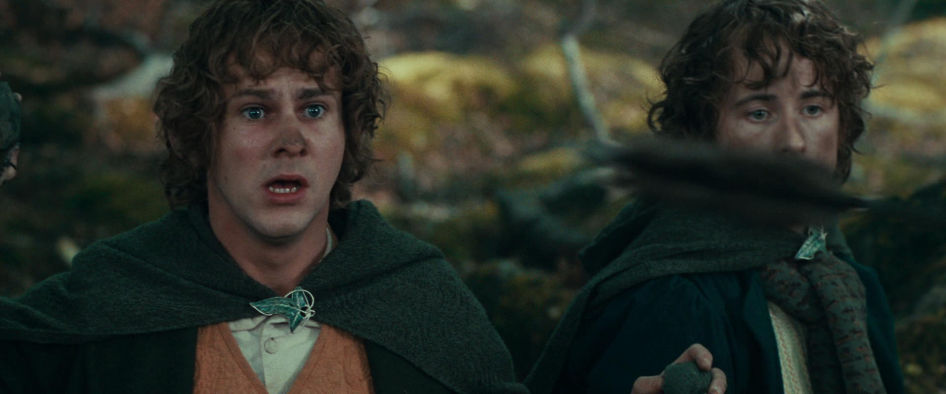 The Lord of the Rings: The Fellowship of the Ring (2001) movie still 22447
