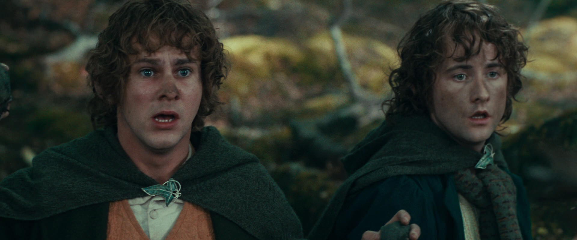 The Lord of the Rings: The Fellowship of the Ring (2001) HD screenshot 22448