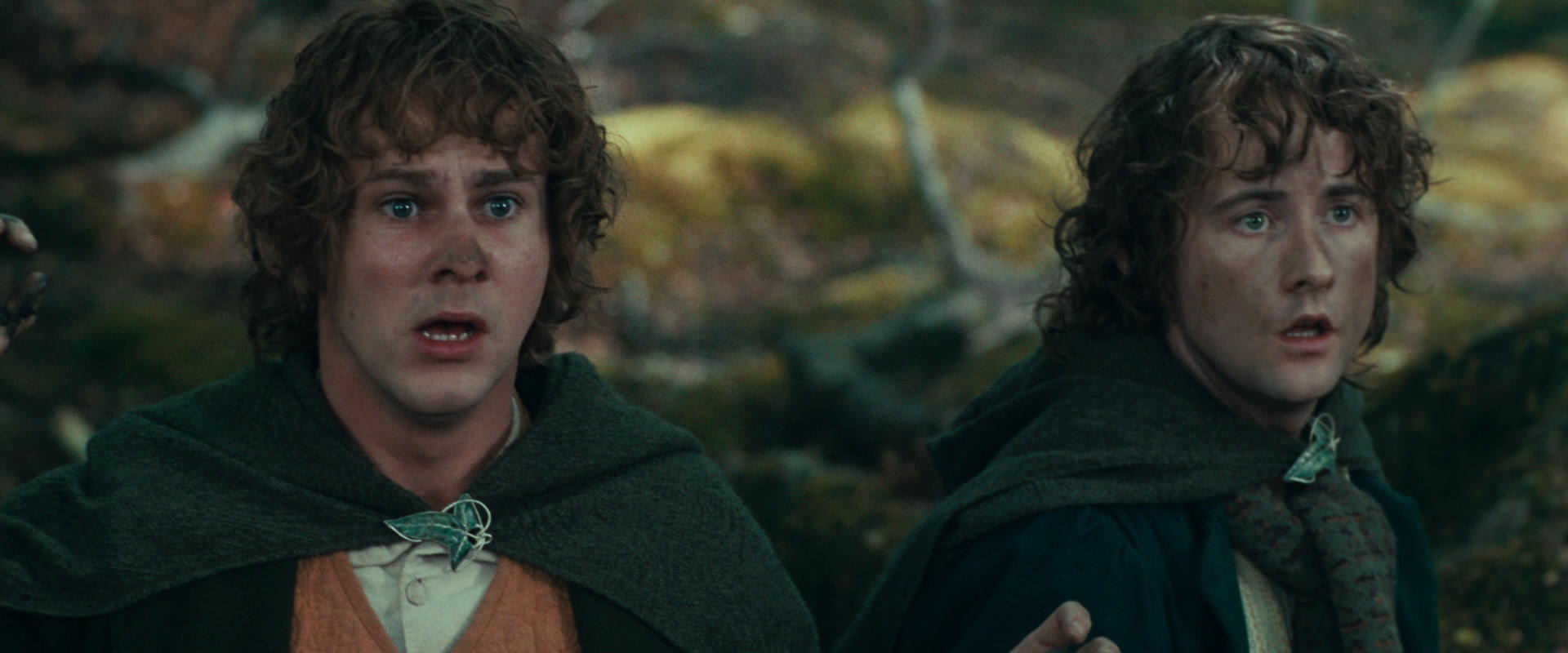 The Lord of the Rings: The Fellowship of the Ring (2001) screencap 22449