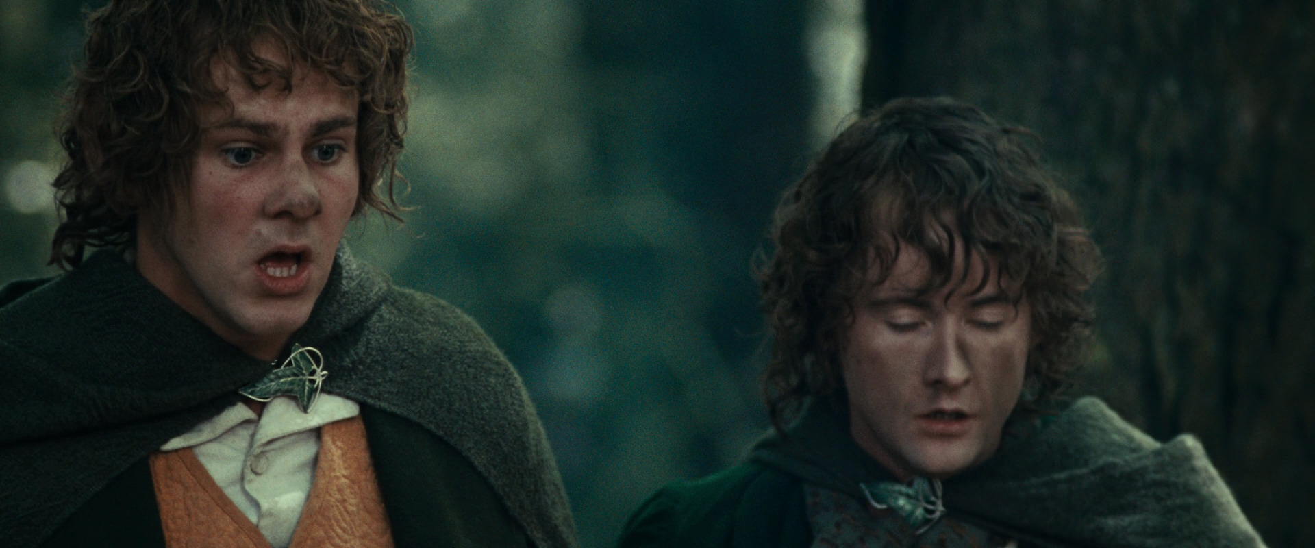 The Lord of the Rings: The Fellowship of the Ring (2001) screencap 22464