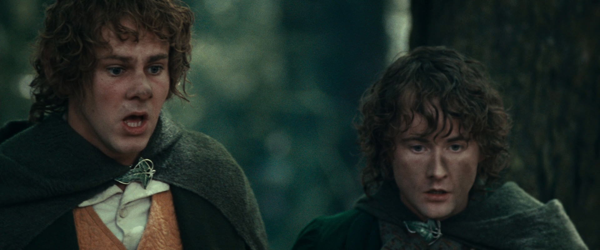 The Lord of the Rings: The Fellowship of the Ring (2001) movie still 22465