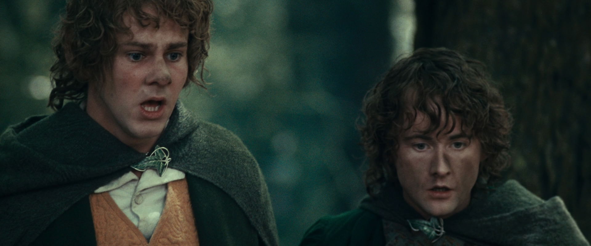 The Lord of the Rings: The Fellowship of the Ring (2001) HD screenshot 22466