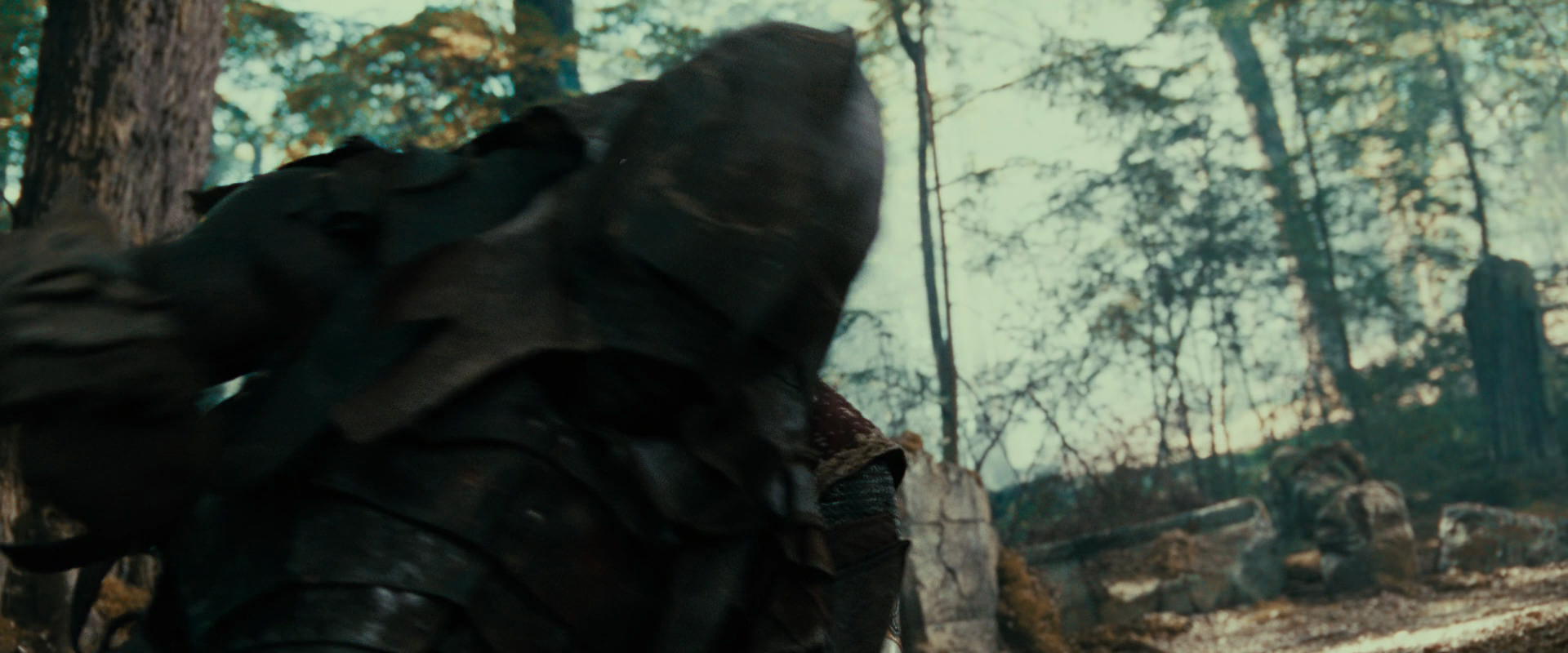 The Lord of the Rings: The Fellowship of the Ring (2001) HD screenshot 22475