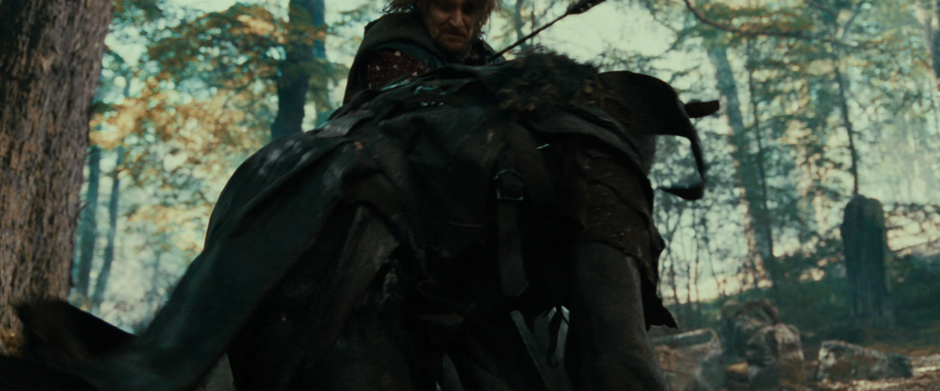 The Lord of the Rings: The Fellowship of the Ring (2001) screencap 22482