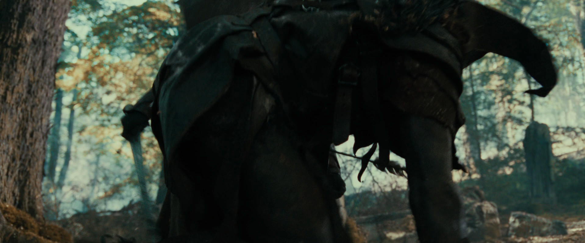 The Lord of the Rings: The Fellowship of the Ring (2001) movie still 22483