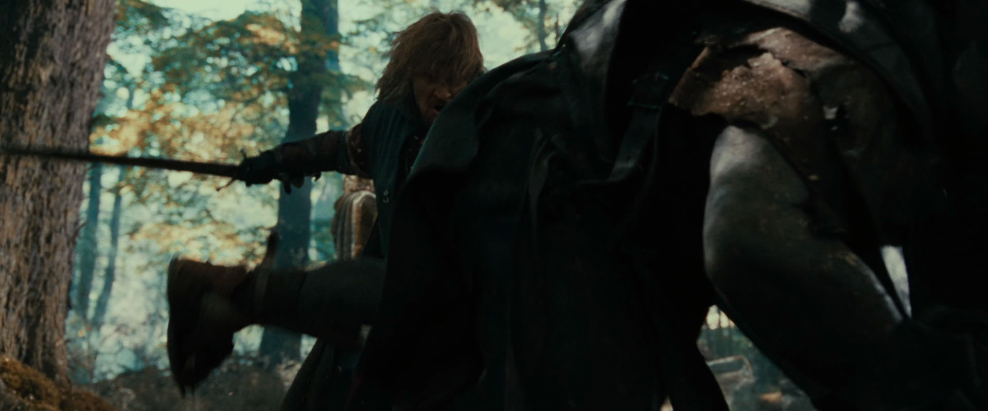 The Lord of the Rings: The Fellowship of the Ring (2001) screencap 22485