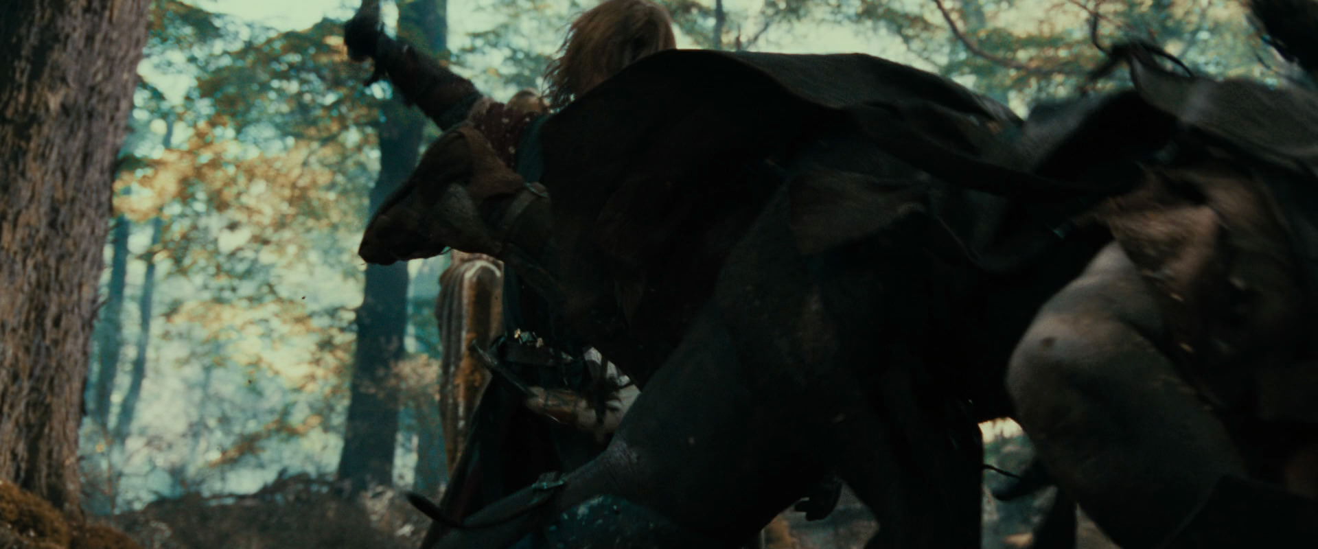 The Lord of the Rings: The Fellowship of the Ring (2001) movie still 22486