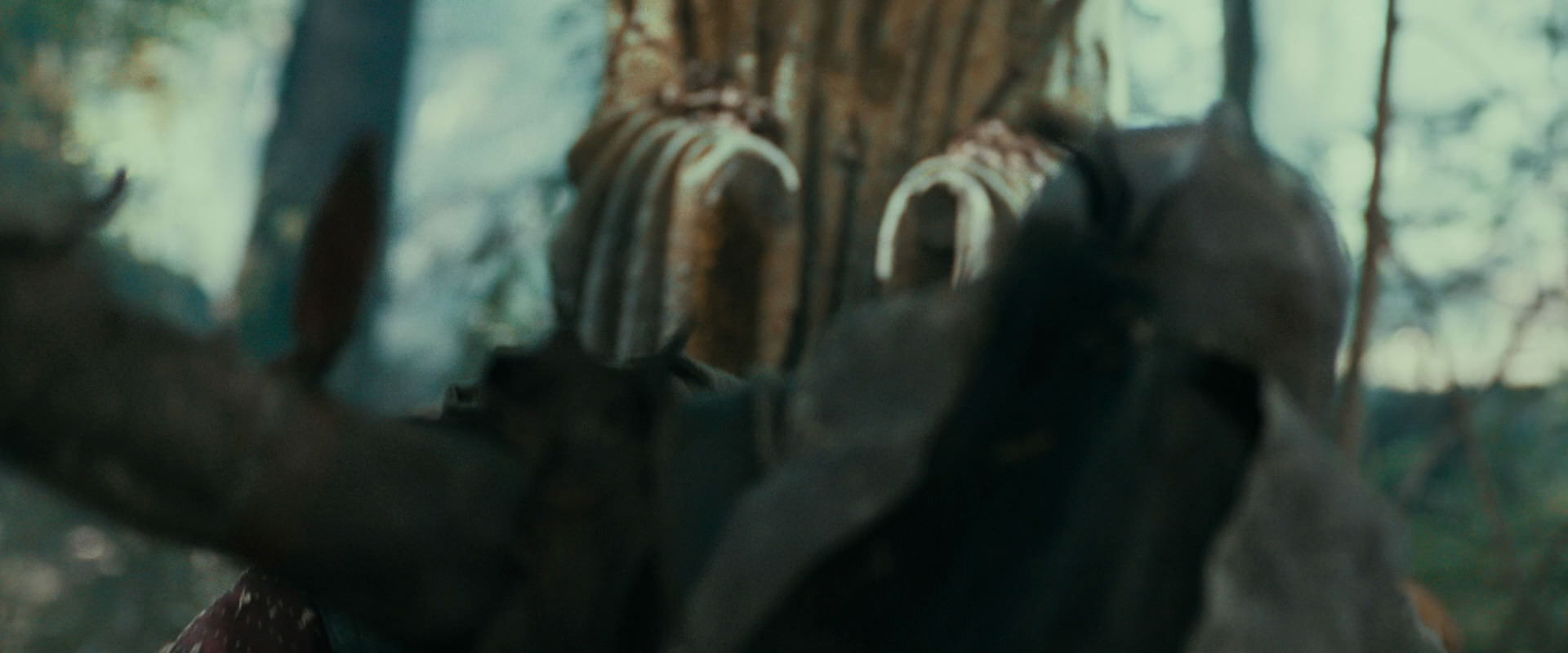 The Lord of the Rings: The Fellowship of the Ring (2001) movie still 22501