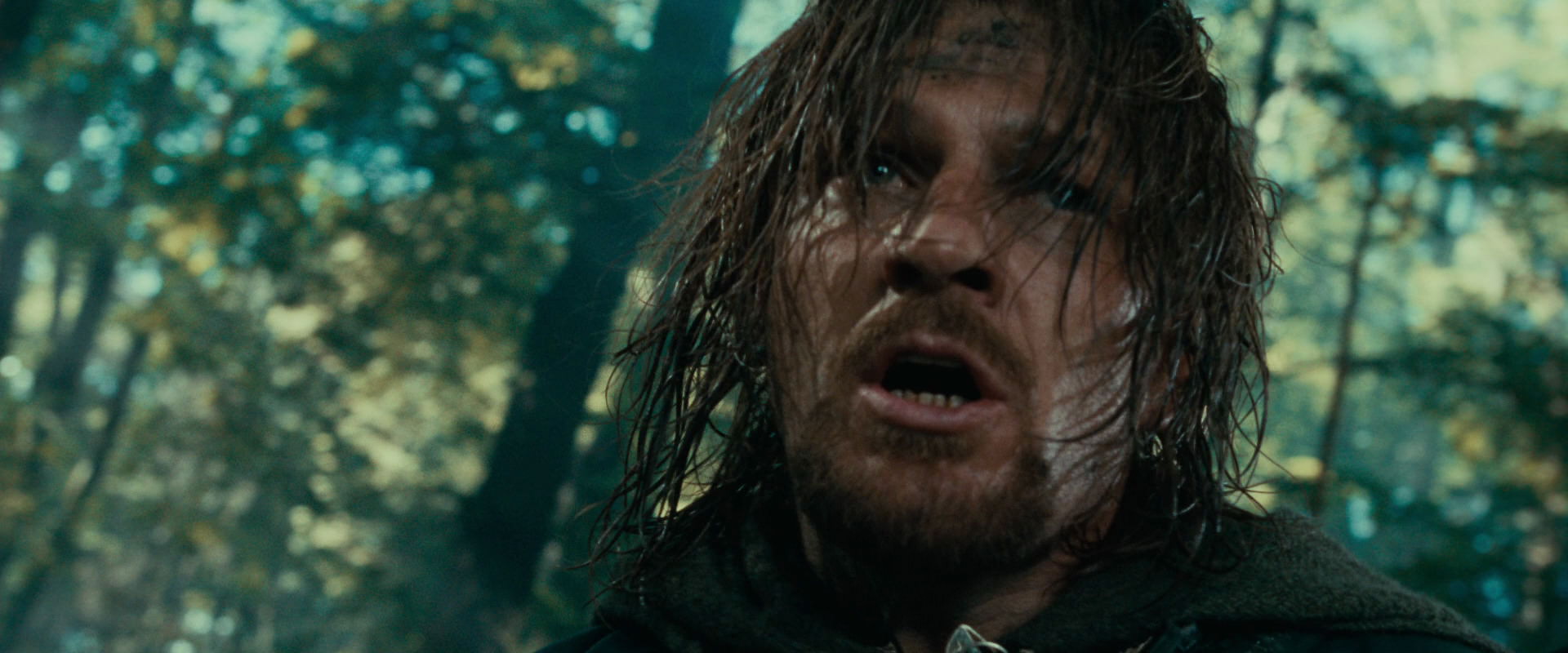 The Lord of the Rings: The Fellowship of the Ring (2001) HD screenshot 22508