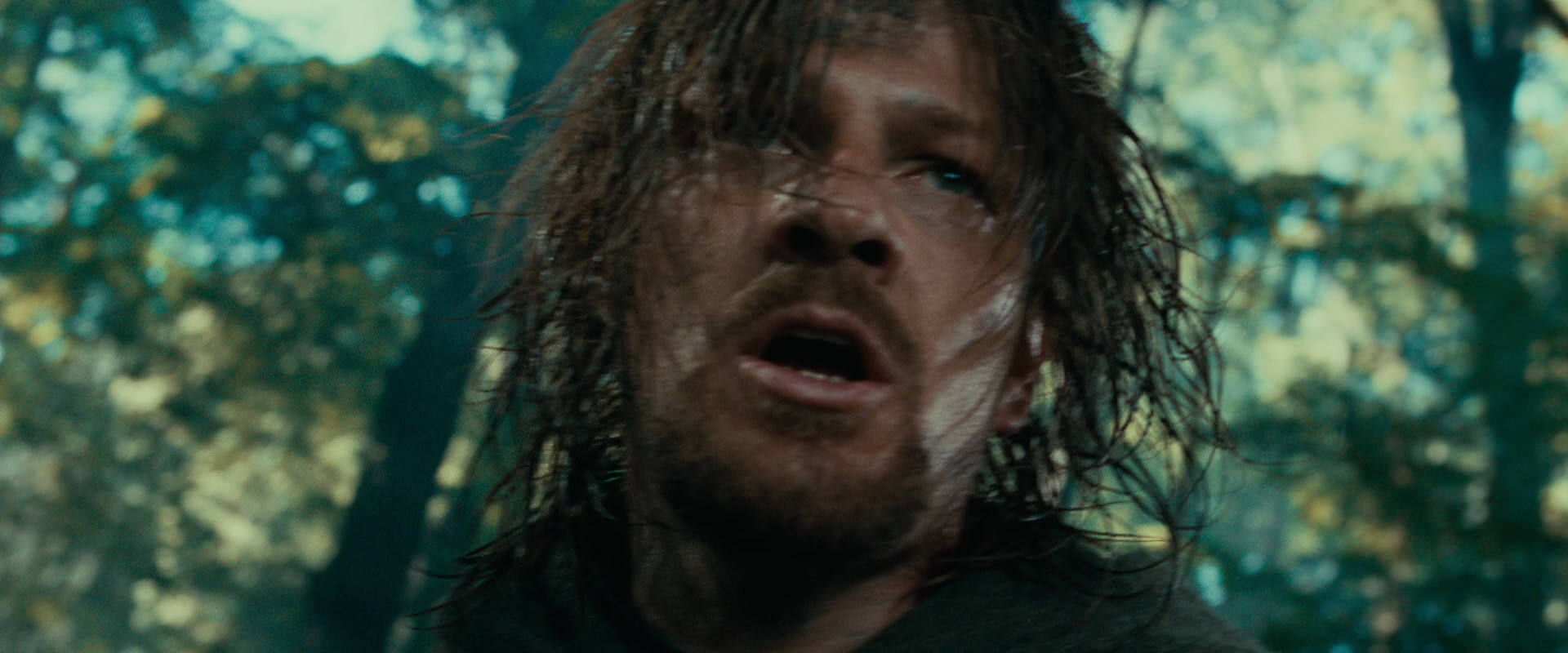 The Lord of the Rings: The Fellowship of the Ring (2001) screencap 22509