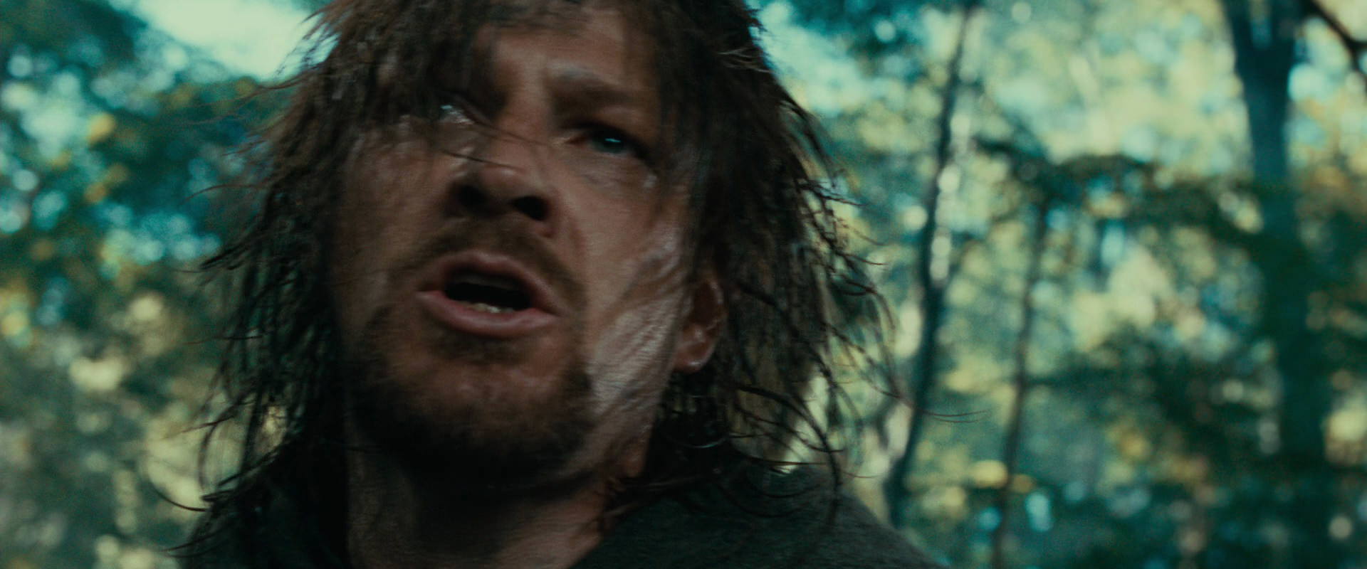 The Lord of the Rings: The Fellowship of the Ring (2001) movie still 22510