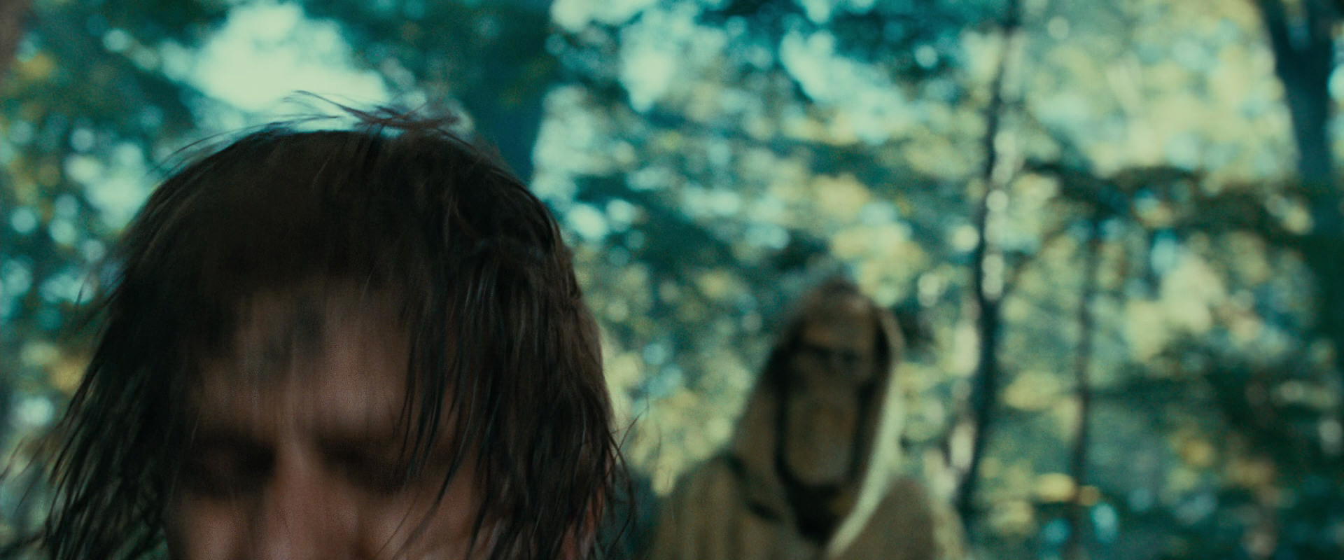 The Lord of the Rings: The Fellowship of the Ring (2001) HD screenshot 22511