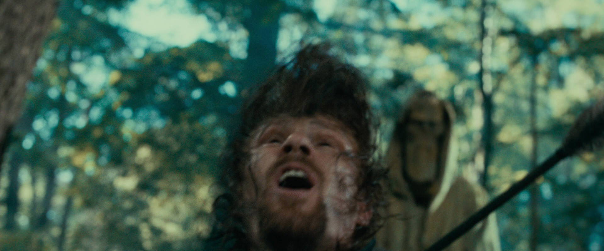 The Lord of the Rings: The Fellowship of the Ring (2001) screencap 22512