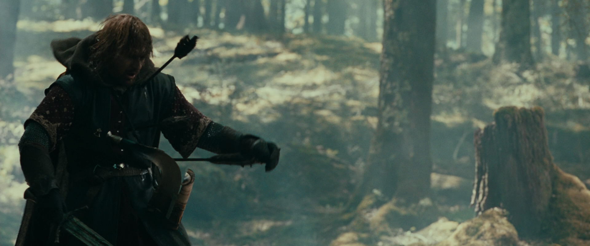 The Lord of the Rings: The Fellowship of the Ring (2001) HD screenshot 22514