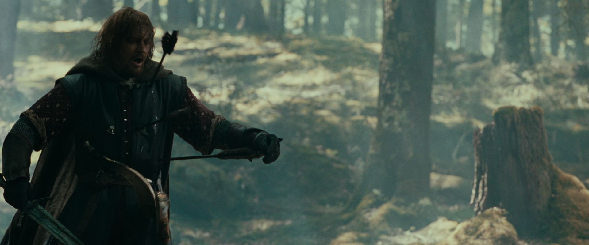 The Lord of the Rings: The Fellowship of the Ring (2001) screencap 22515