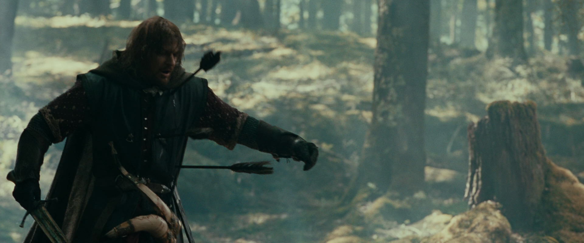 The Lord of the Rings: The Fellowship of the Ring (2001) movie still 22516