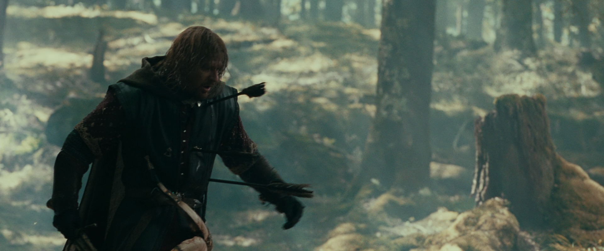 The Lord of the Rings: The Fellowship of the Ring (2001) HD screenshot 22517