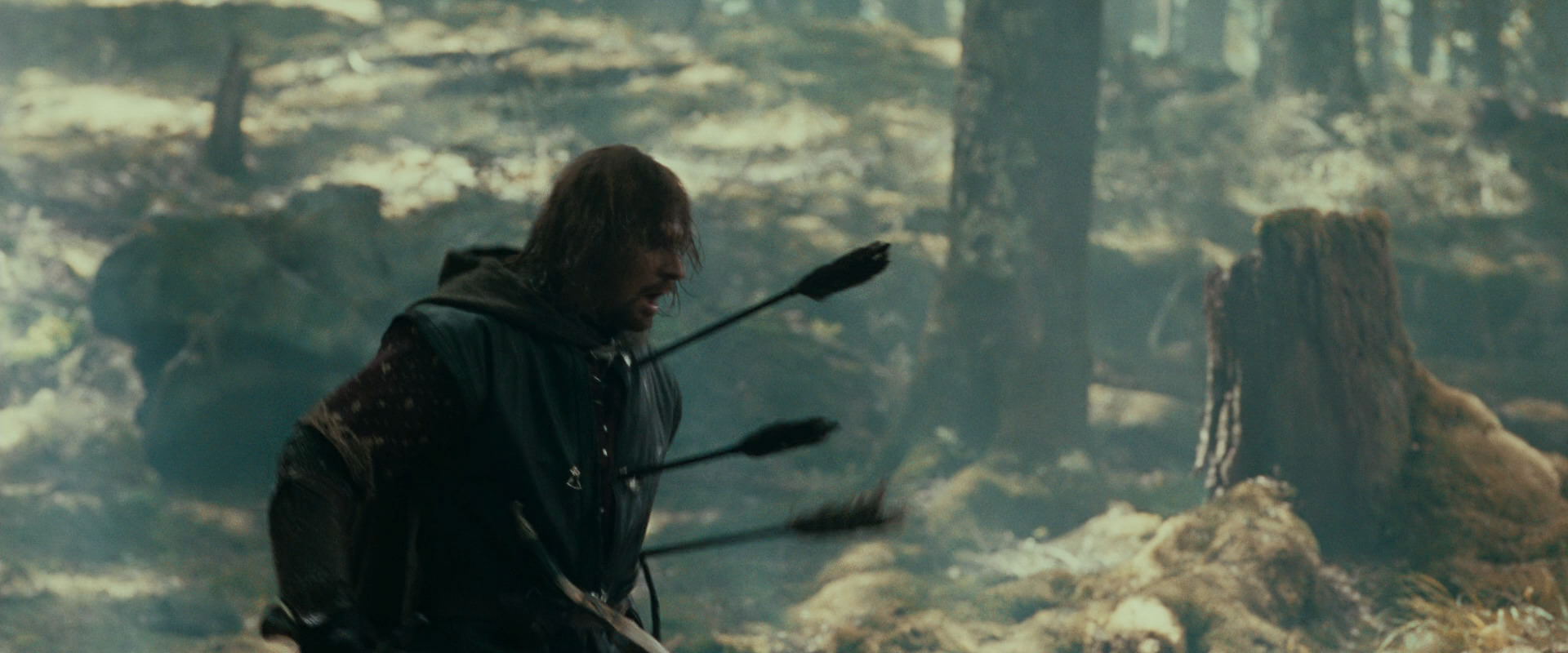 The Lord of the Rings: The Fellowship of the Ring (2001) screencap 22518