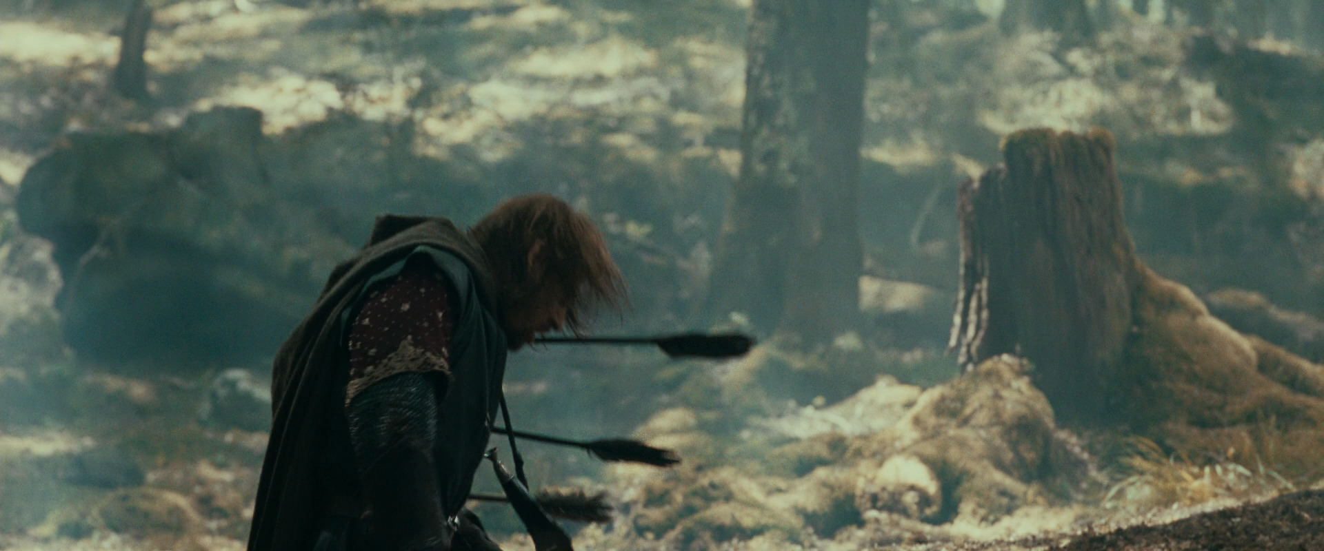 The Lord of the Rings: The Fellowship of the Ring (2001) movie still 22519
