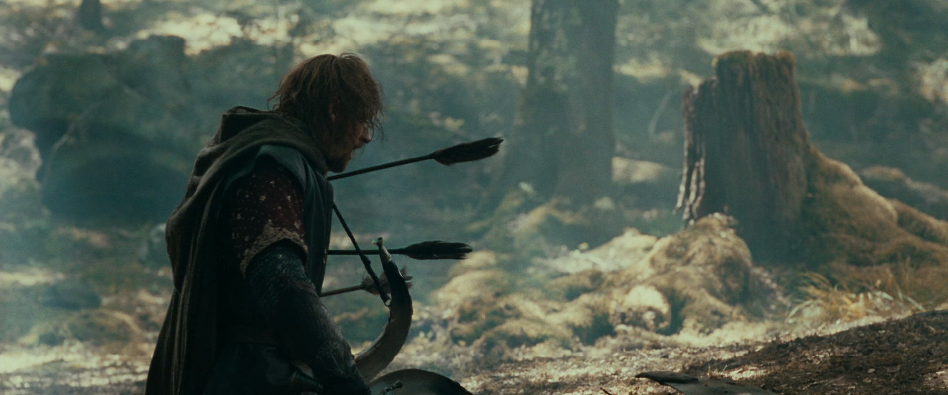 The Lord of the Rings: The Fellowship of the Ring (2001) HD screenshot 22520