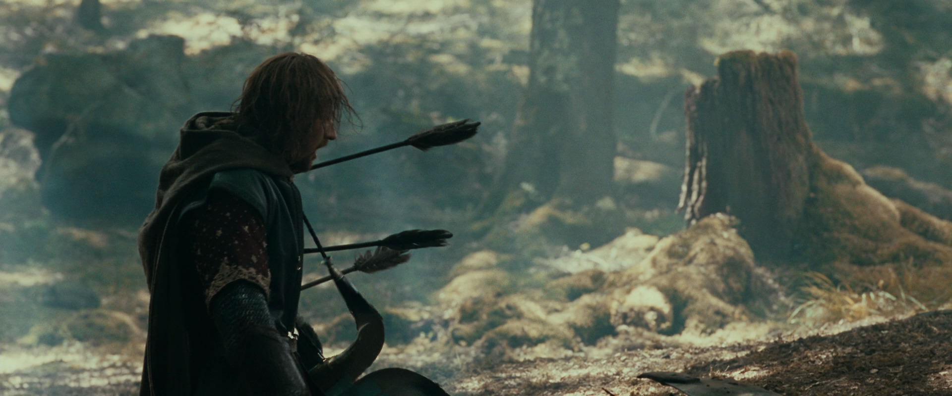 The Lord of the Rings: The Fellowship of the Ring (2001) screencap 22521