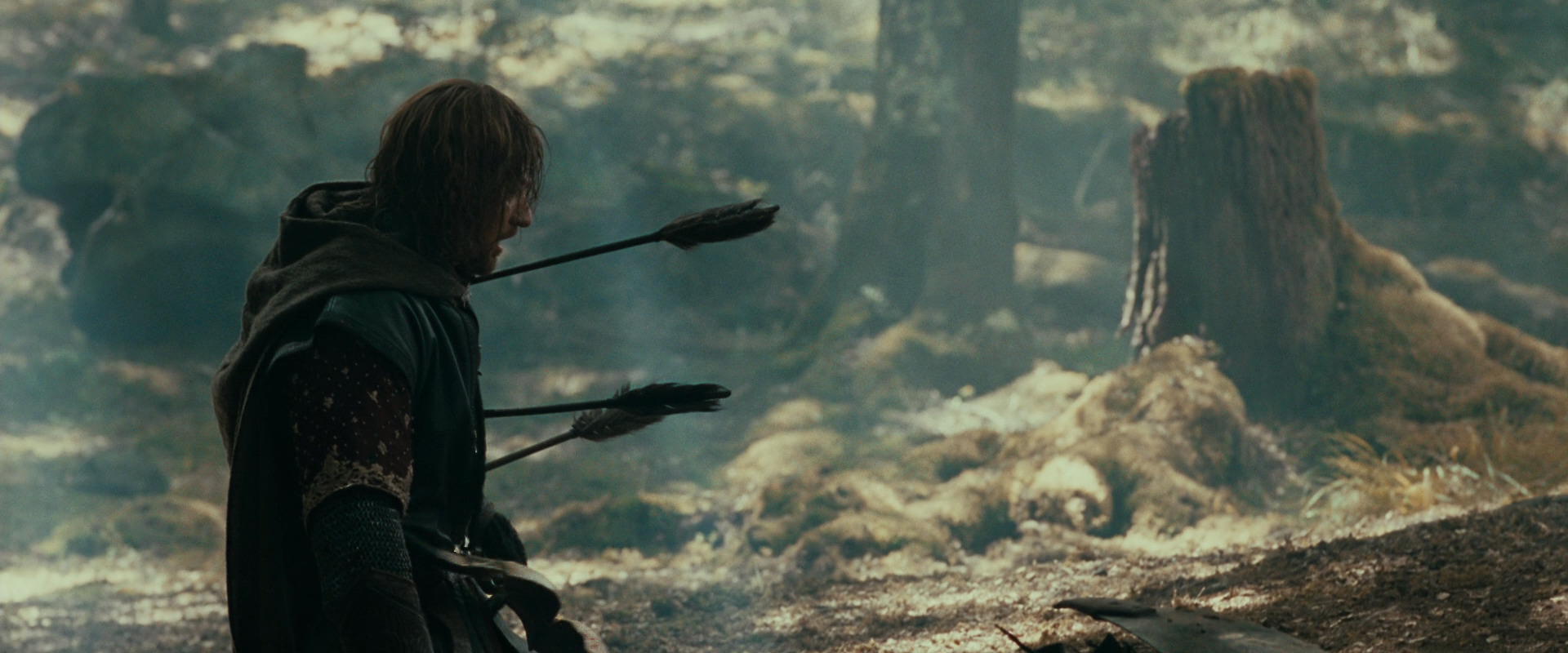 The Lord of the Rings: The Fellowship of the Ring (2001) movie still 22522