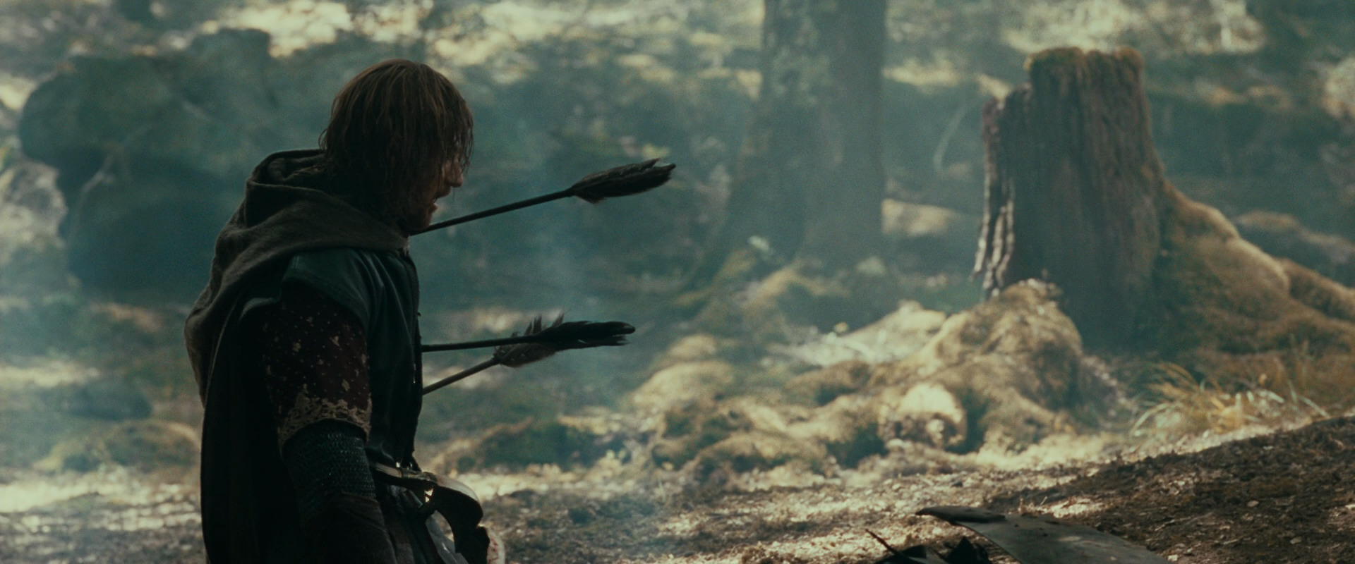 The Lord of the Rings: The Fellowship of the Ring (2001) HD screenshot 22523