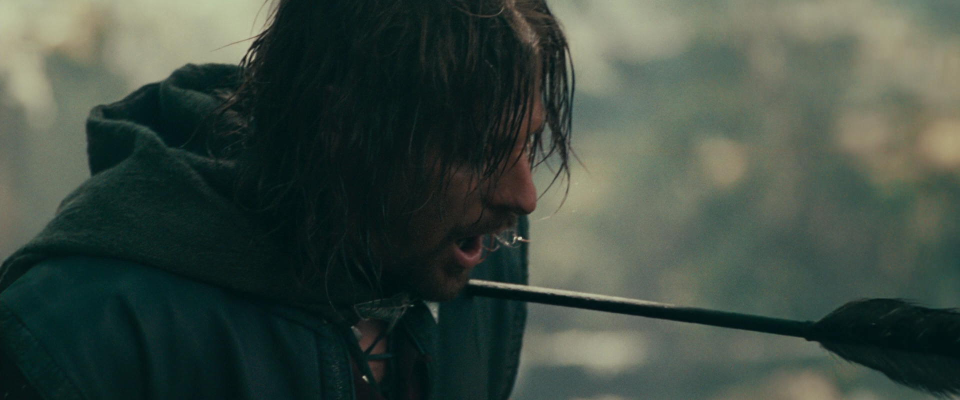 The Lord of the Rings: The Fellowship of the Ring (2001) screencap 22524