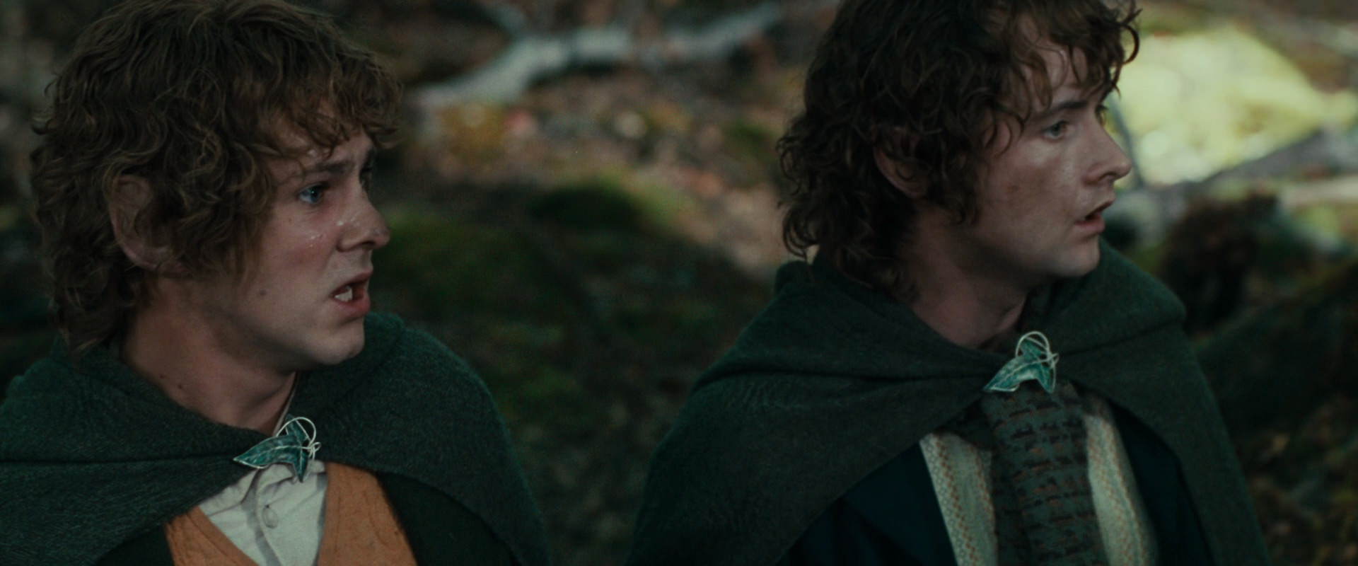 The Lord of the Rings: The Fellowship of the Ring (2001) screencap 22527