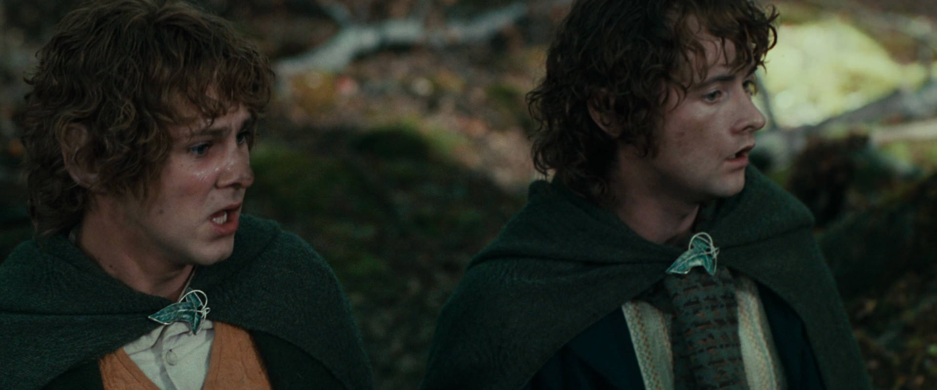 The Lord of the Rings: The Fellowship of the Ring (2001) movie still 22528
