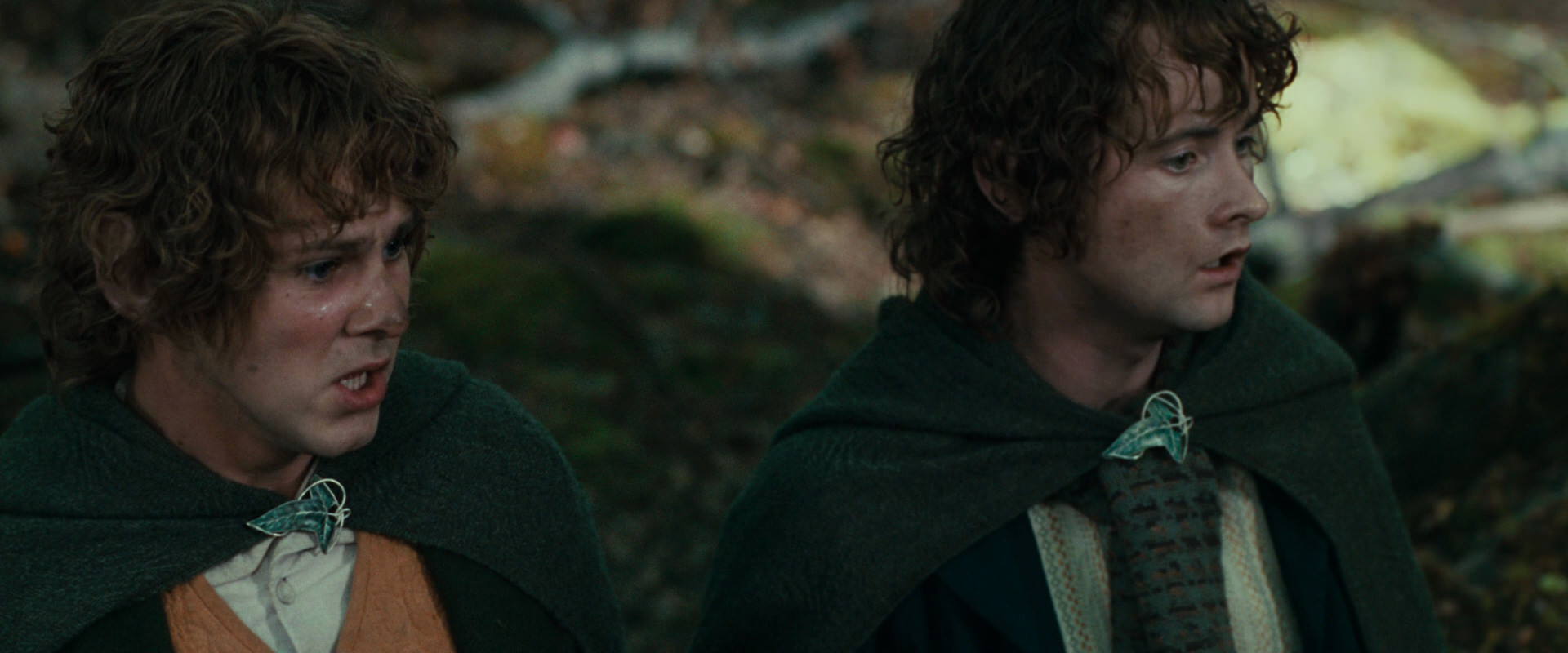 The Lord of the Rings: The Fellowship of the Ring (2001) HD screenshot 22529