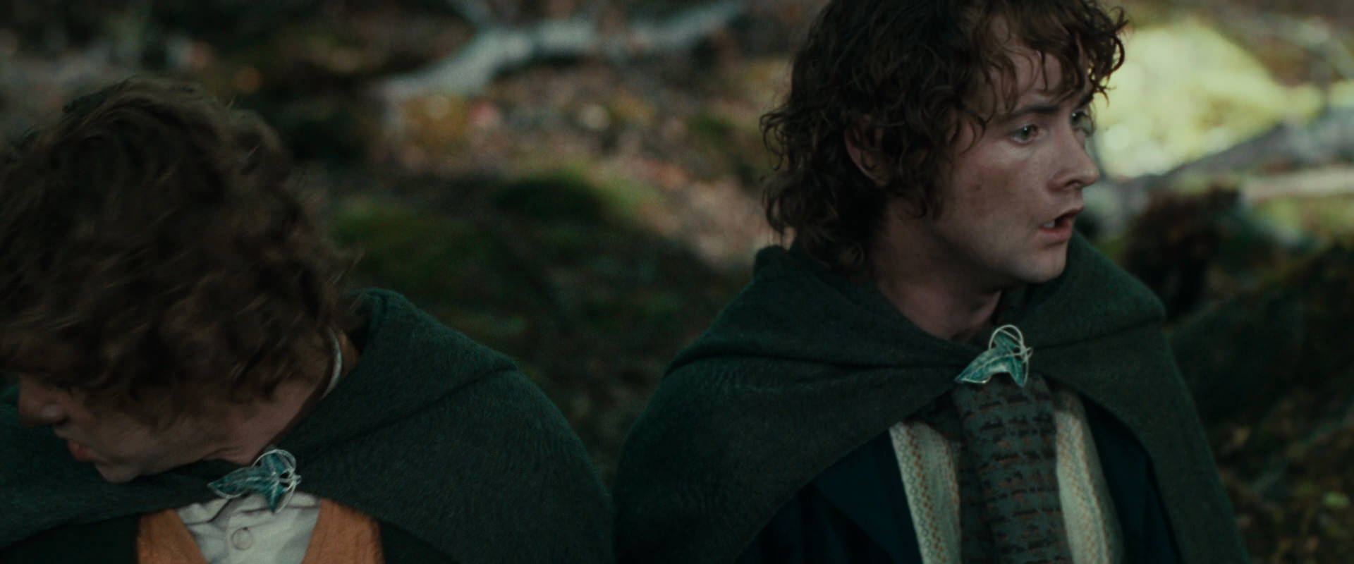 The Lord of the Rings: The Fellowship of the Ring (2001) screencap 22530
