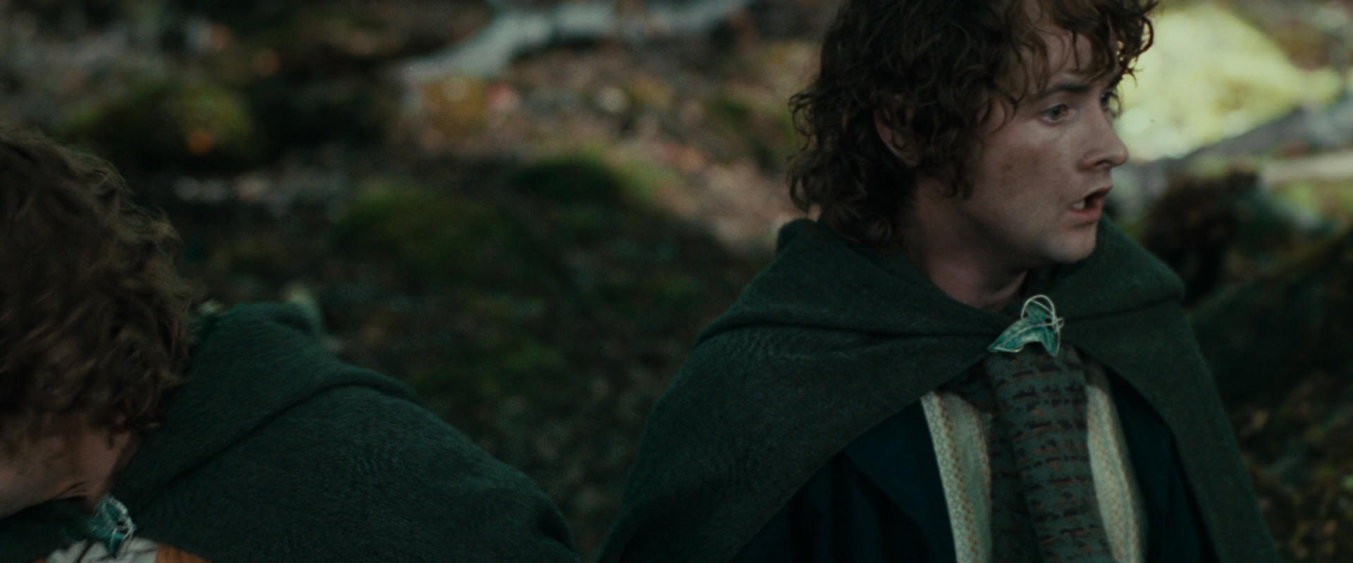 The Lord of the Rings: The Fellowship of the Ring (2001) movie still 22531