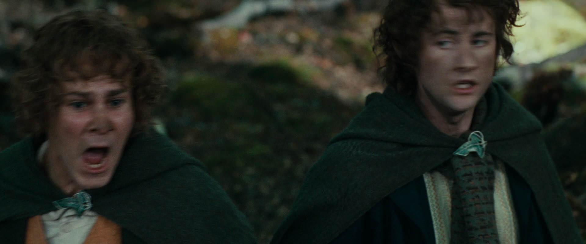 The Lord of the Rings: The Fellowship of the Ring (2001) HD screenshot 22532