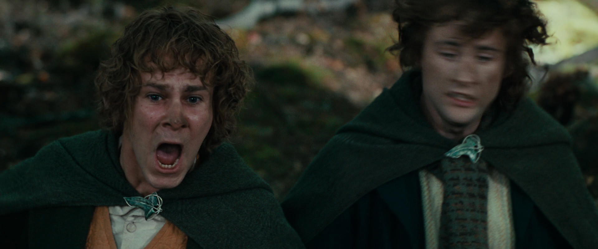 The Lord of the Rings: The Fellowship of the Ring (2001) screencap 22533