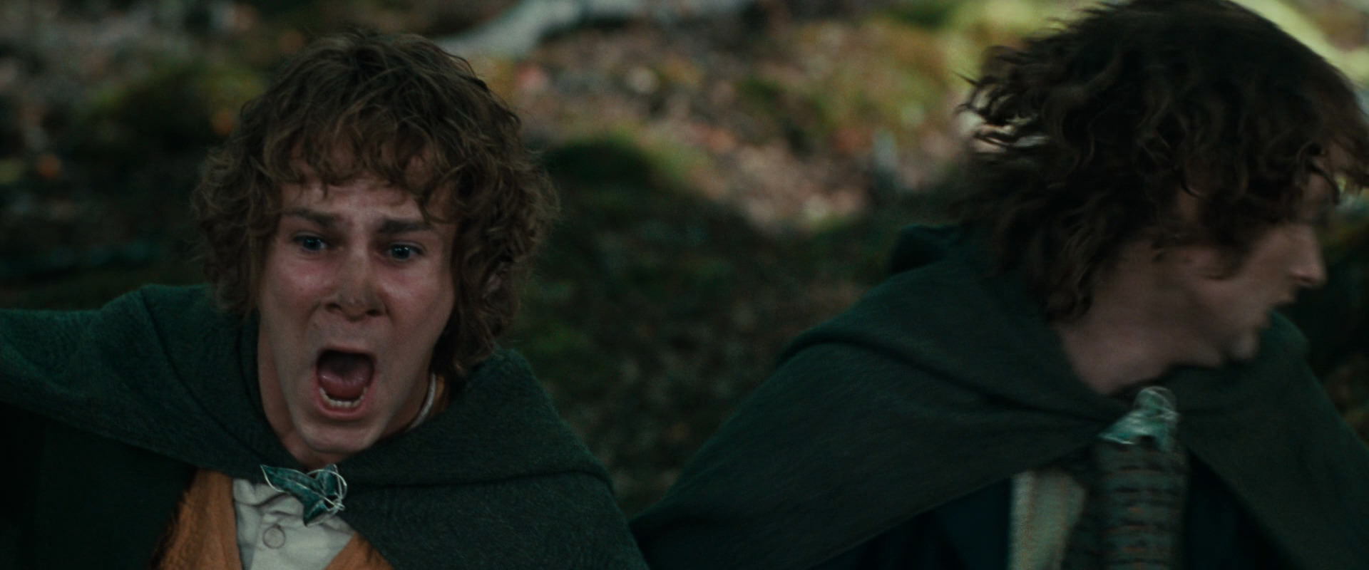 The Lord of the Rings: The Fellowship of the Ring (2001) movie still 22534
