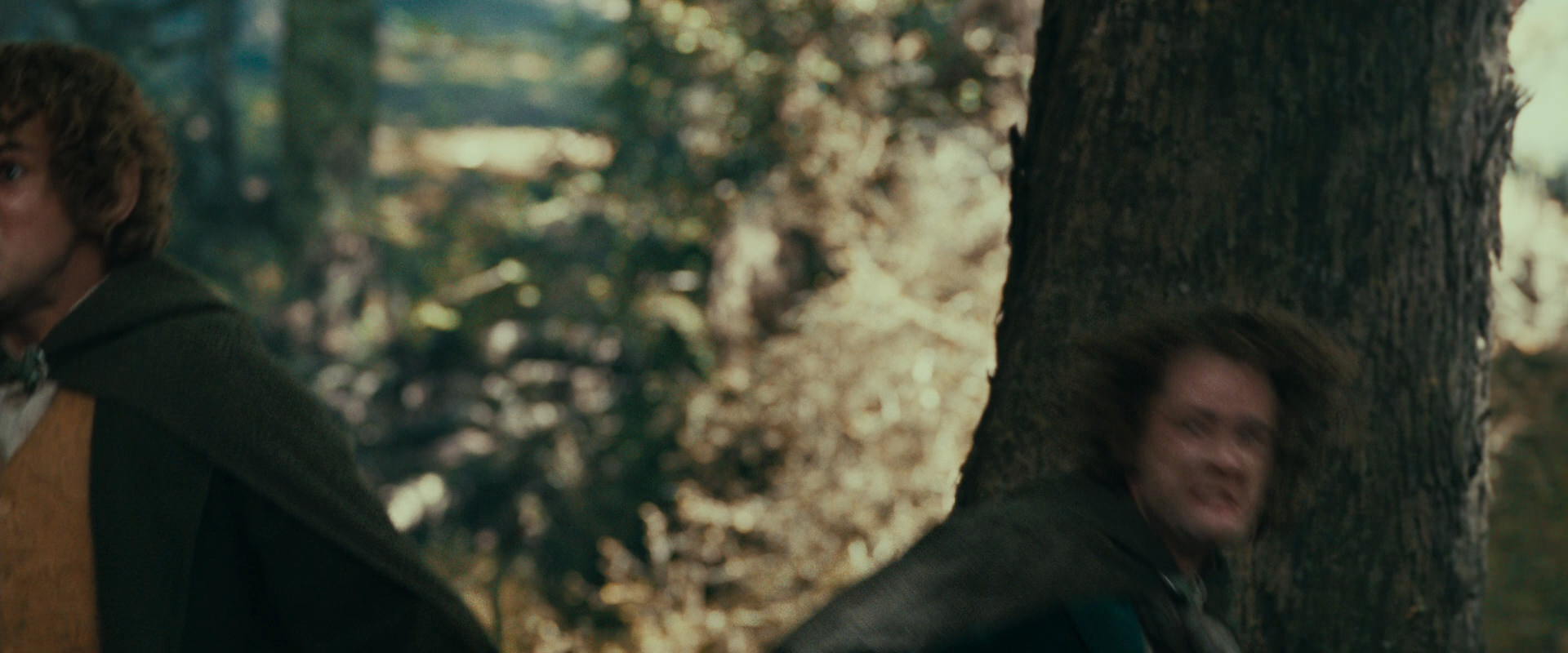 The Lord of the Rings: The Fellowship of the Ring (2001) HD screenshot 22535
