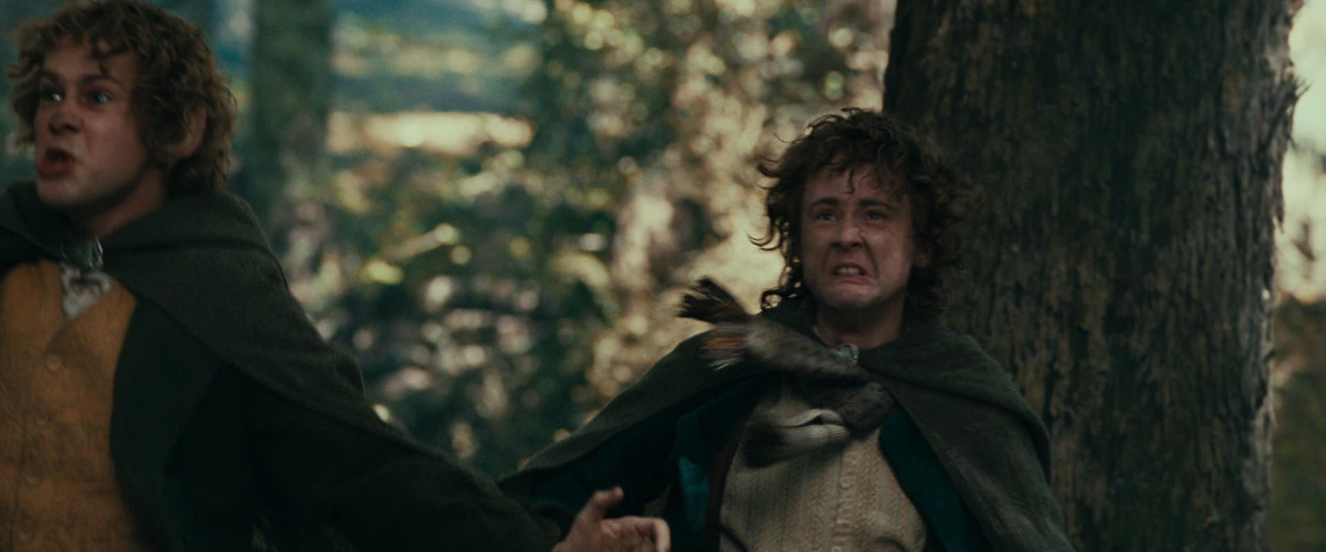 The Lord of the Rings: The Fellowship of the Ring (2001) screencap 22536