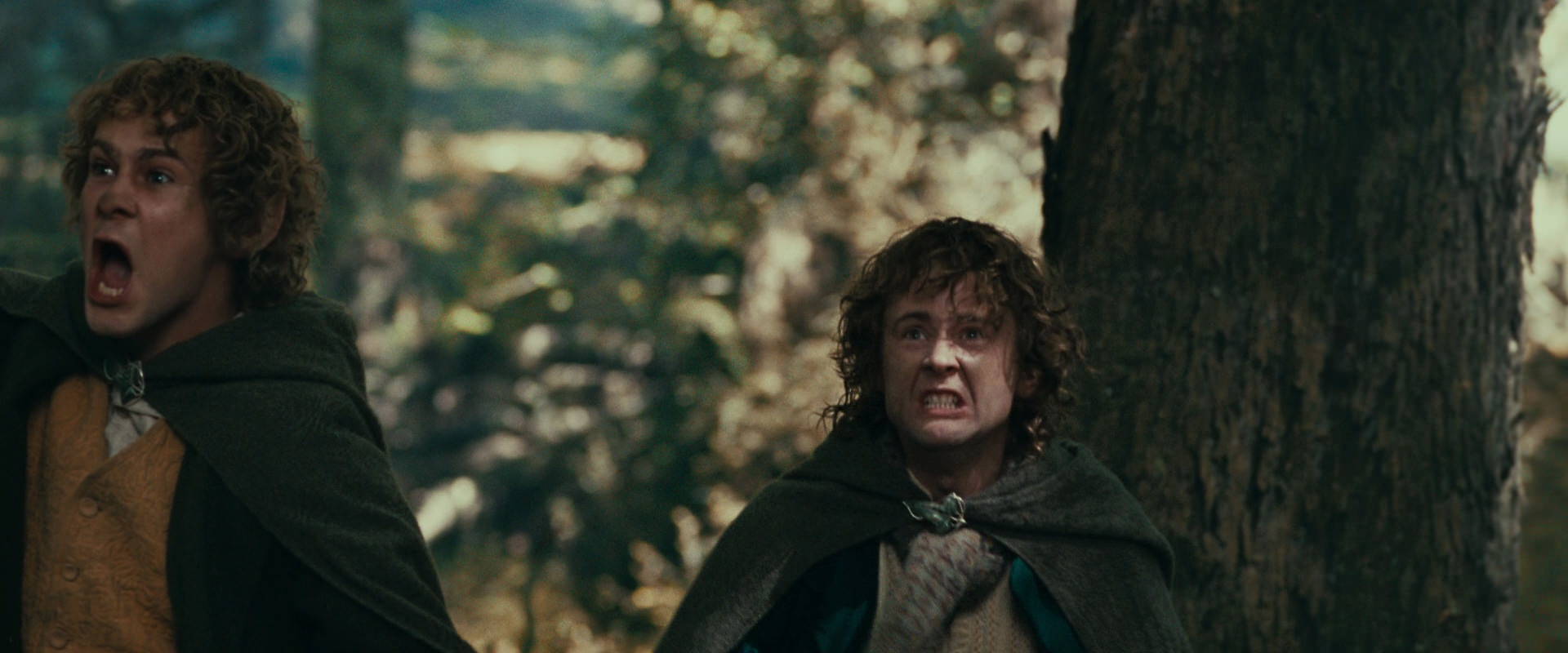 The Lord of the Rings: The Fellowship of the Ring (2001) movie still 22537