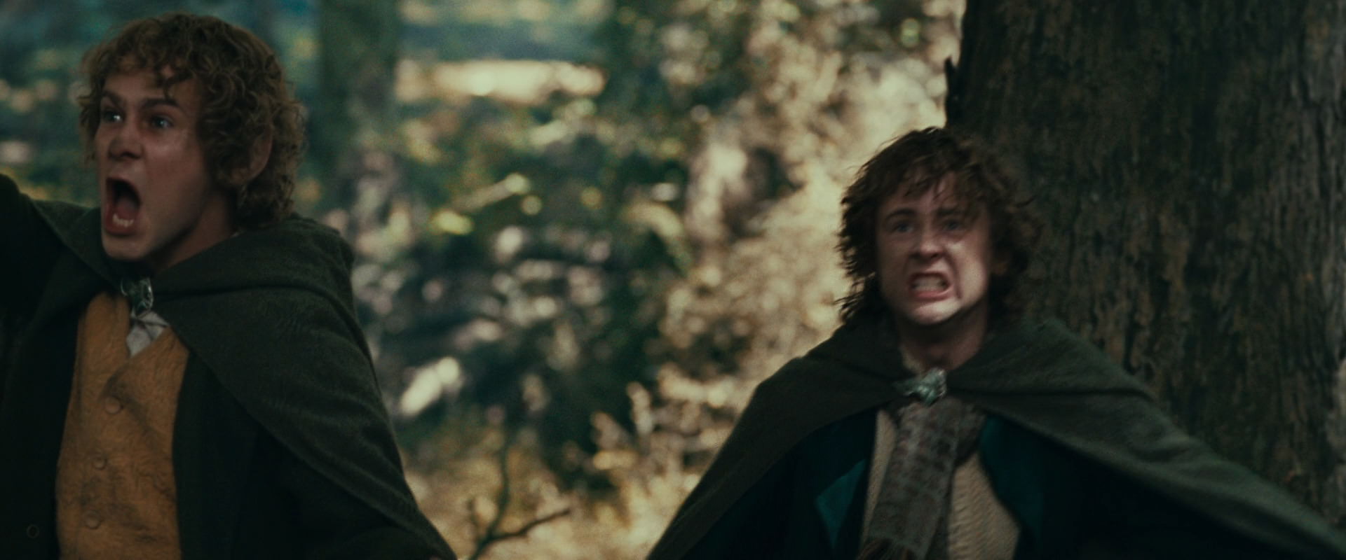 The Lord of the Rings: The Fellowship of the Ring (2001) HD screenshot 22538