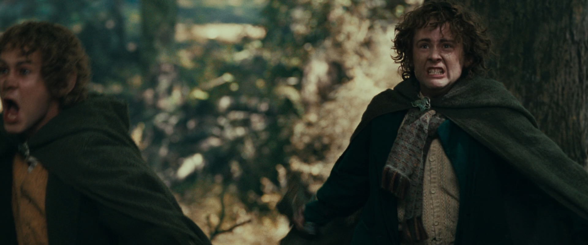 The Lord of the Rings: The Fellowship of the Ring (2001) screencap 22539