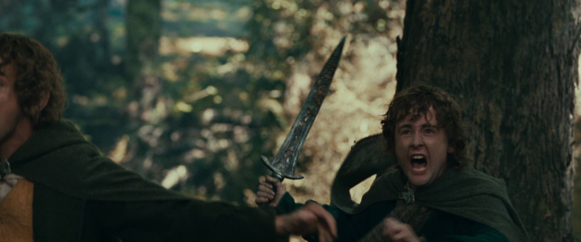 The Lord of the Rings: The Fellowship of the Ring (2001) movie still 22540