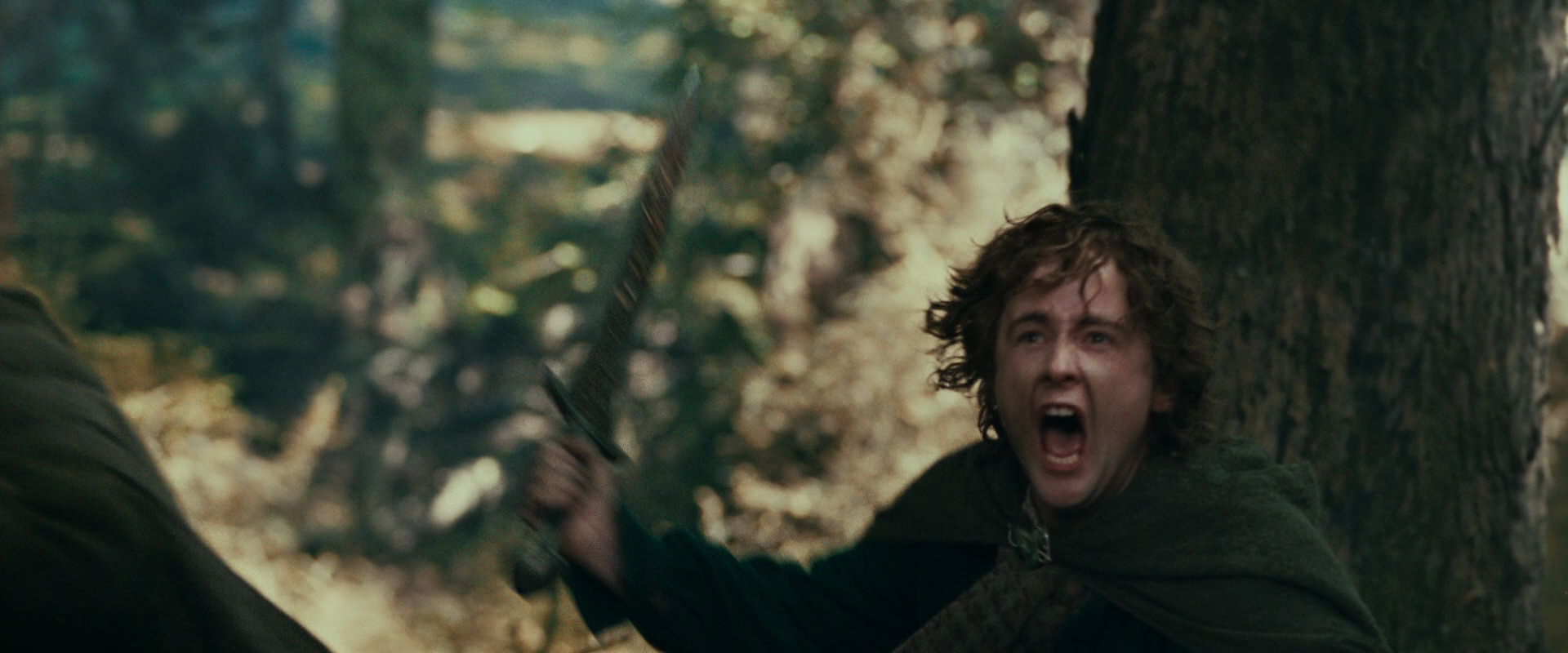 The Lord of the Rings: The Fellowship of the Ring (2001) HD screenshot 22541