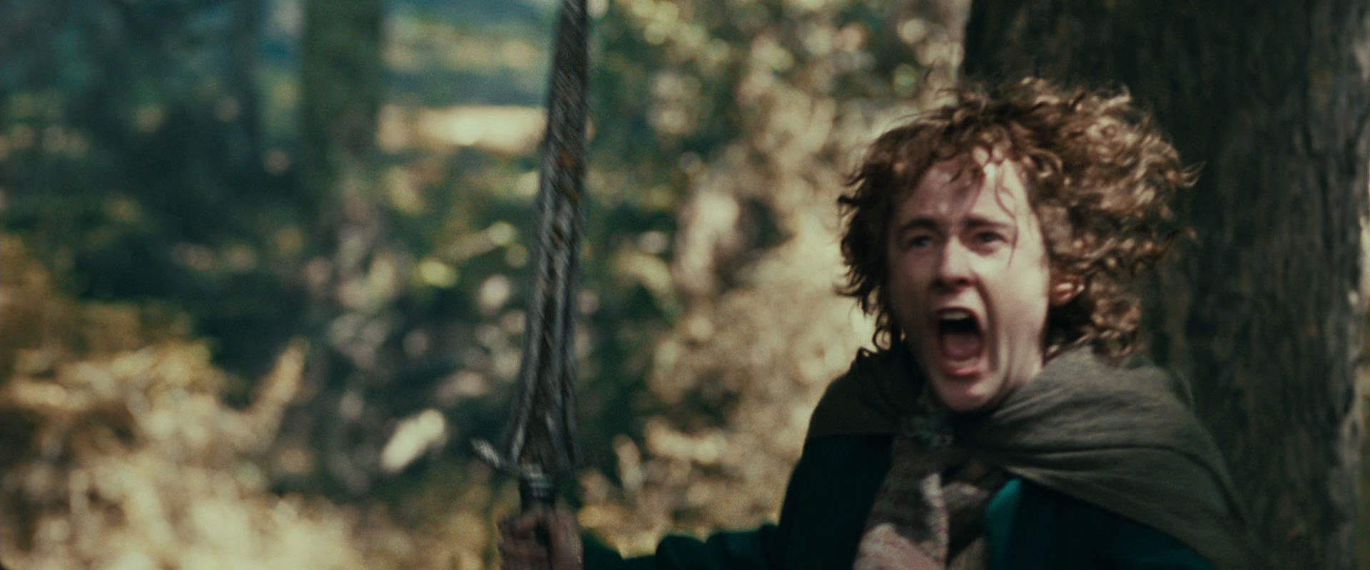 The Lord of the Rings: The Fellowship of the Ring (2001) screencap 22542