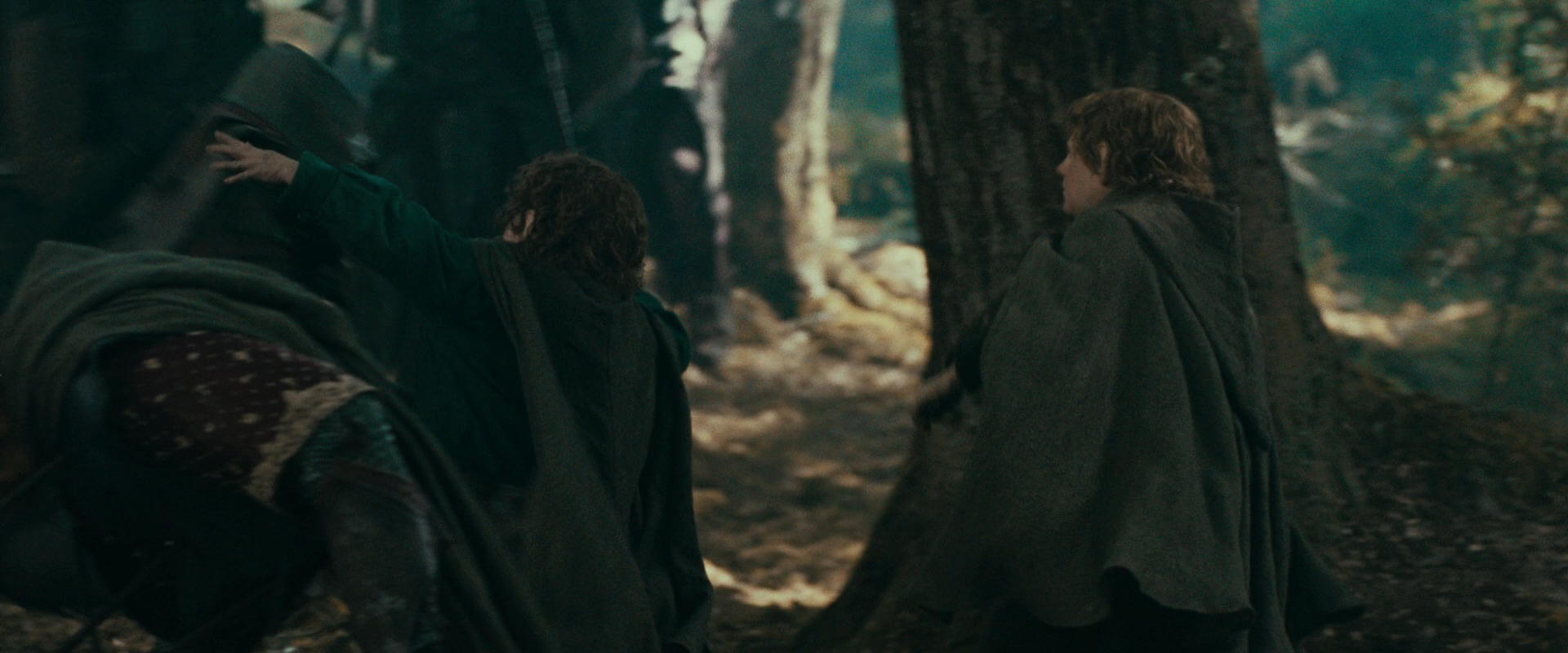 The Lord of the Rings: The Fellowship of the Ring (2001) movie still 22543