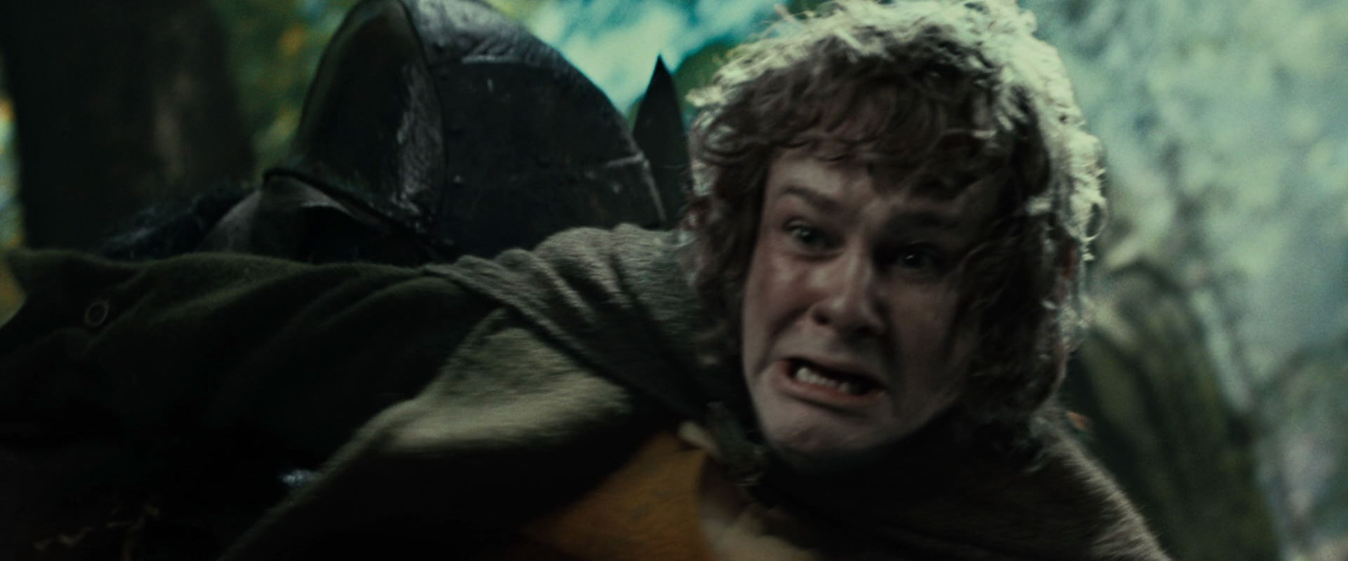 The Lord of the Rings: The Fellowship of the Ring (2001) screencap 22551
