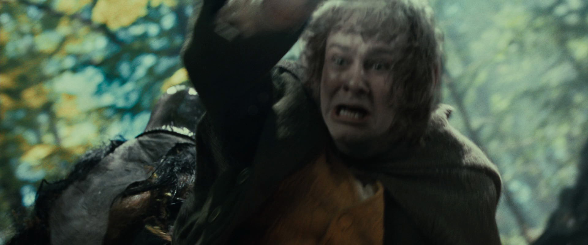 The Lord of the Rings: The Fellowship of the Ring (2001) movie still 22552