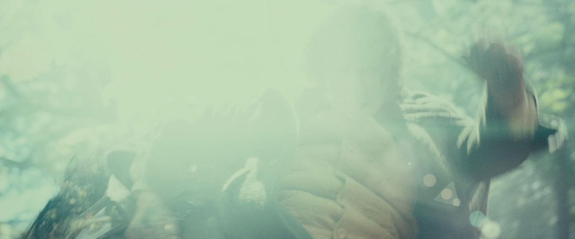 The Lord of the Rings: The Fellowship of the Ring (2001) HD screenshot 22553