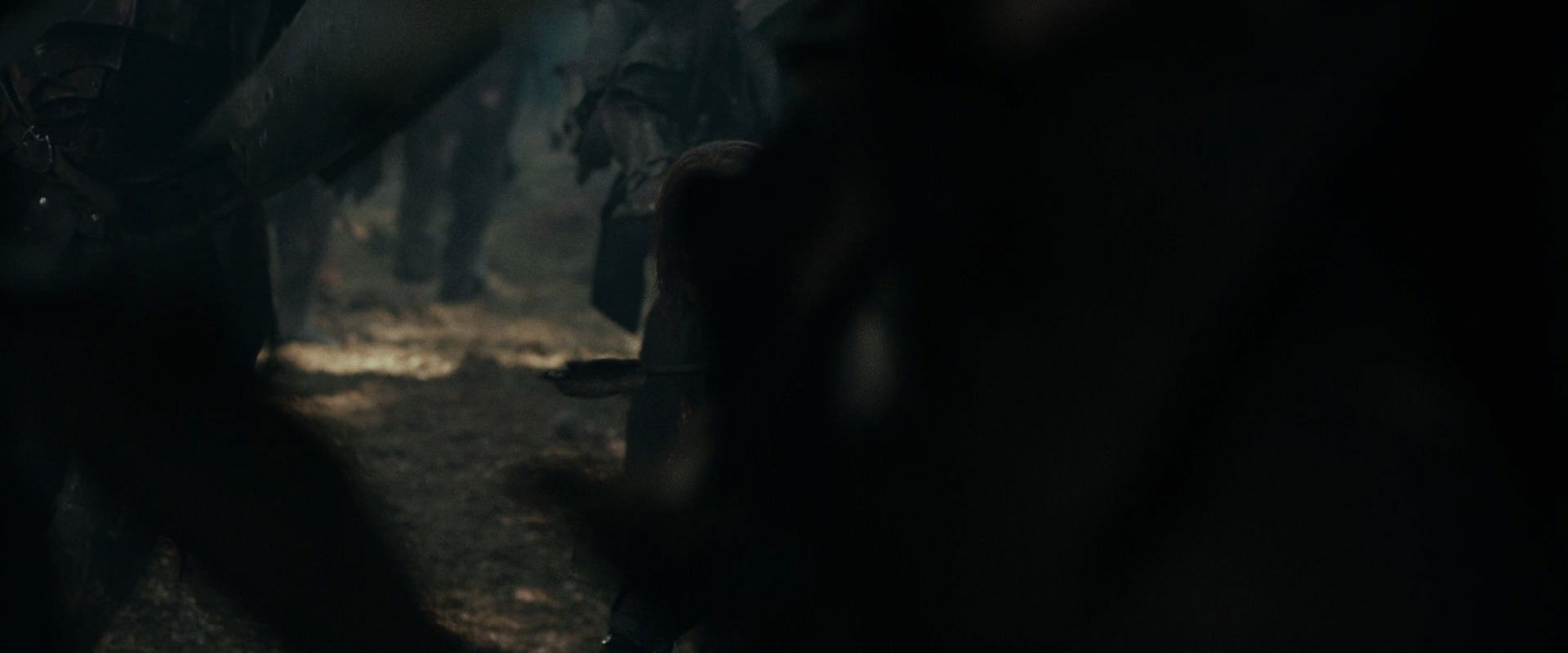 The Lord of the Rings: The Fellowship of the Ring (2001) screencap 22560